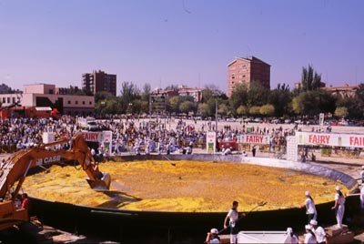 la paella la plus grande du monde La plus grande Paella du monde en 2001