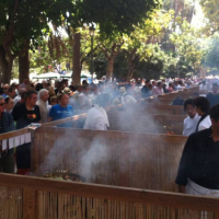 Concours international de la paella de sueca les participants