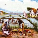 La bible de la paella - Paelleras qui cuisinent dans la Albufera