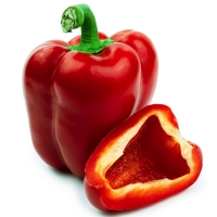 Pimenton le piment doux frais
