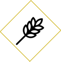 riz